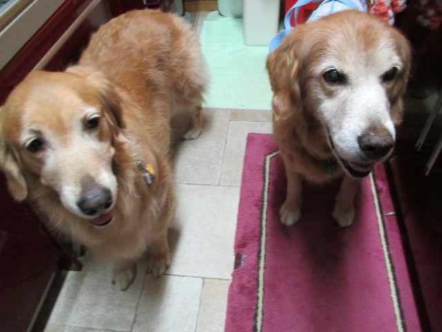 ファイル 2732-5.jpg