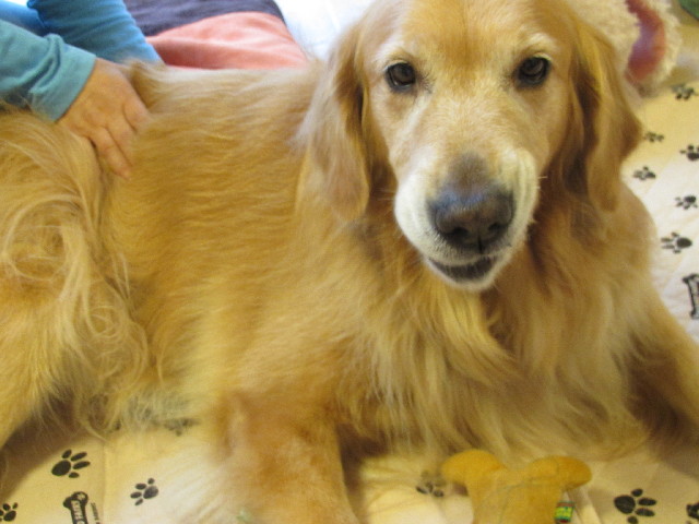 ファイル 2735-1.jpg