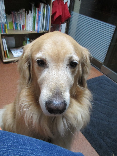 ファイル 2735-2.jpg