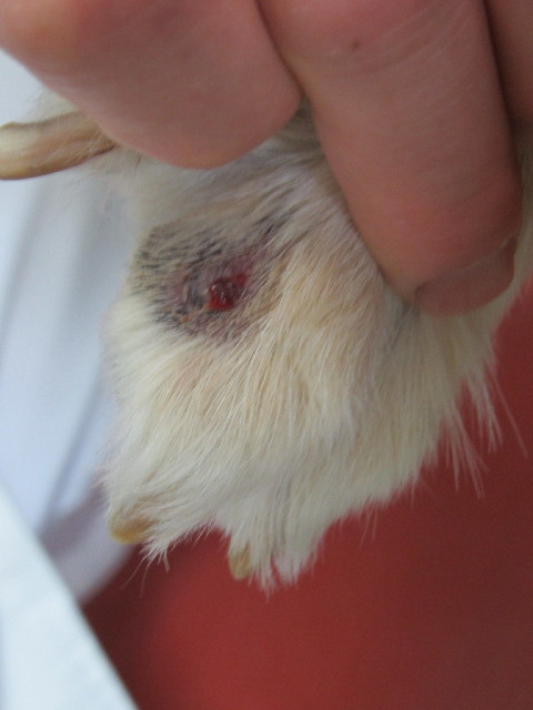 ファイル 2736-3.jpg