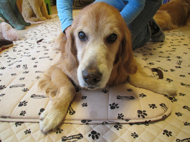 ファイル 2736-4.jpg