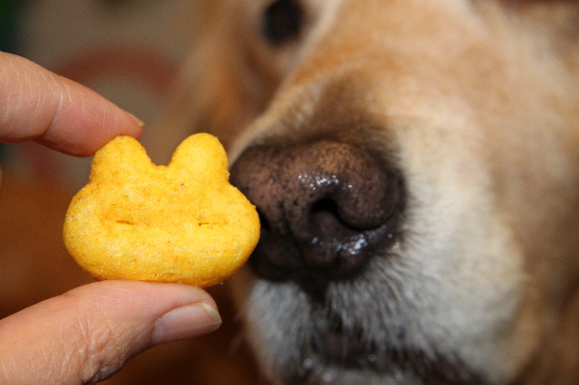 ファイル 2737-1.jpg