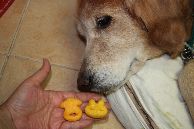 ファイル 2737-4.jpg