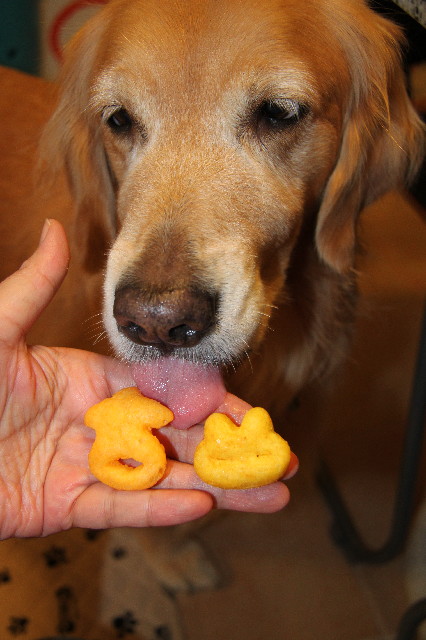 ファイル 2737-5.jpg