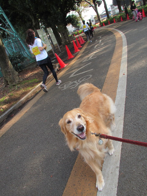 ファイル 2738-1.jpg