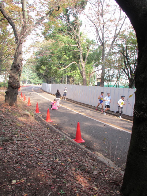 ファイル 2738-2.jpg