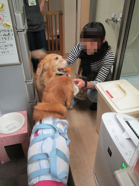 ファイル 2739-1.jpg