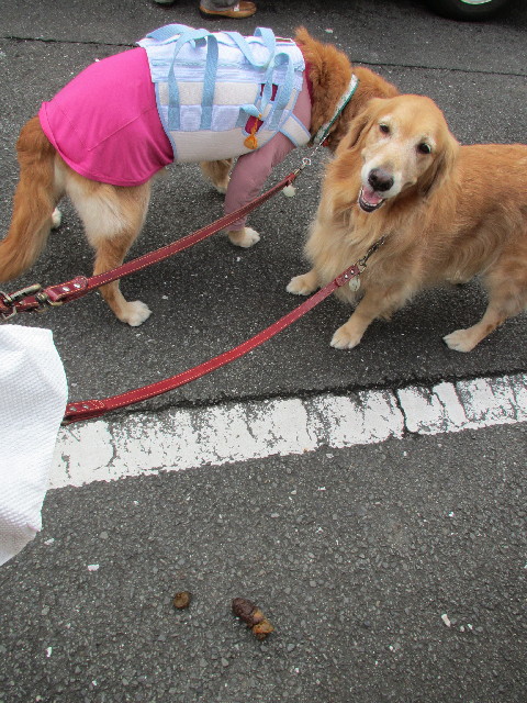 ファイル 2742-1.jpg