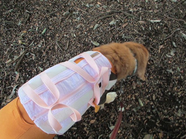 ファイル 2742-2.jpg