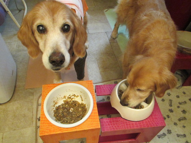 ファイル 2742-4.jpg