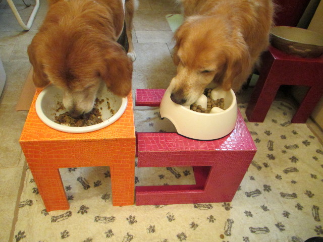 ファイル 2742-5.jpg