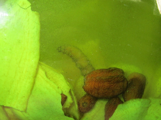 ファイル 2743-3.jpg