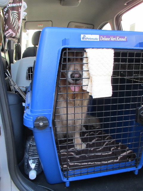 ファイル 2745-2.jpg