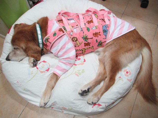 ファイル 2745-3.jpg