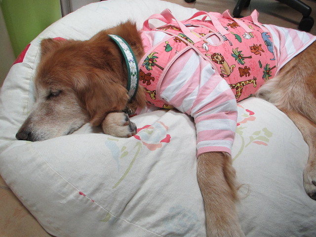 ファイル 2745-4.jpg