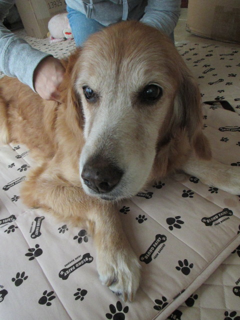 ファイル 2746-4.jpg