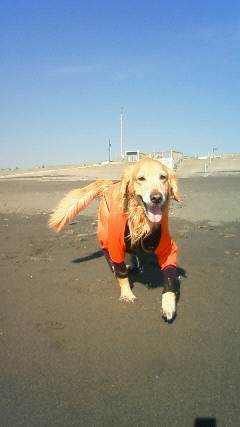 ファイル 2747-1.jpg