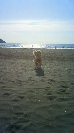 ファイル 2747-2.jpg