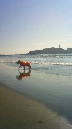 ファイル 2747-4.jpg