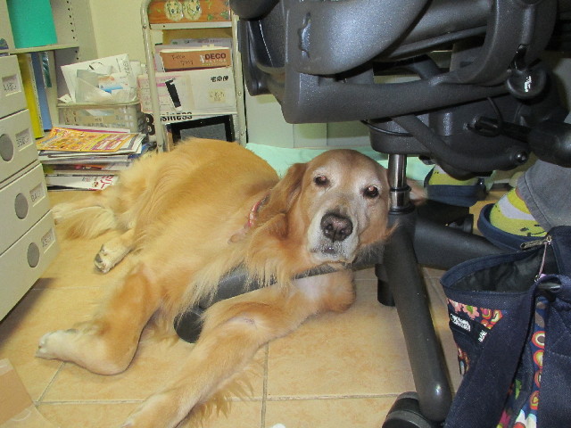 ファイル 2748-1.jpg