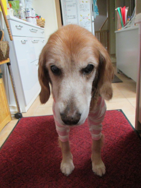 ファイル 2748-5.jpg