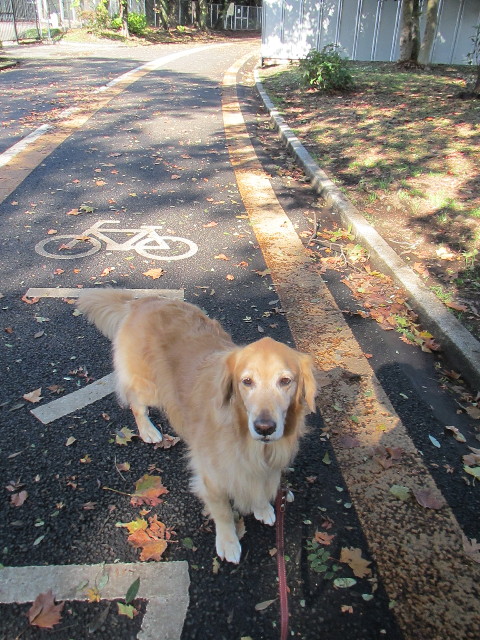 ファイル 2749-1.jpg