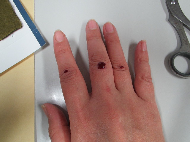 ファイル 2749-3.jpg