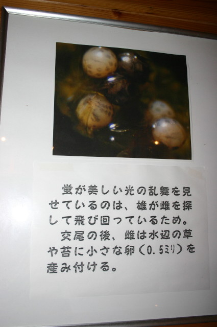 ファイル 275-5.jpg