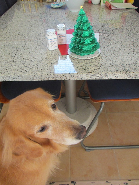 ファイル 2750-2.jpg