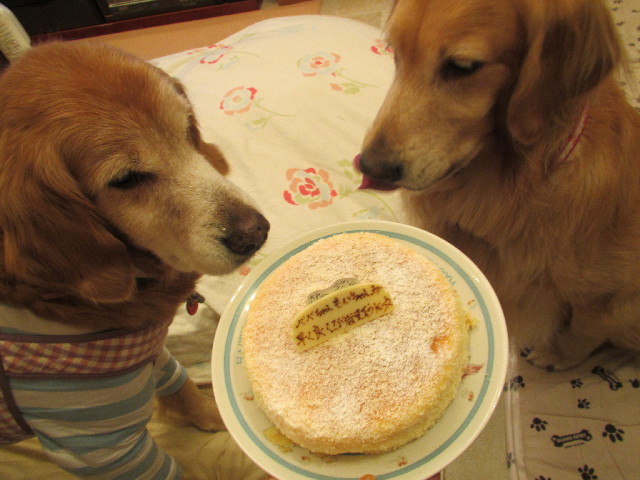 ファイル 2751-2.jpg