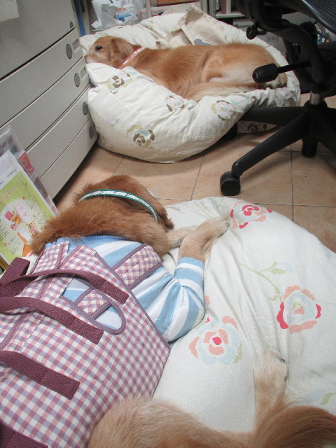 ファイル 2751-5.jpg