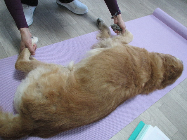 ファイル 2752-1.jpg