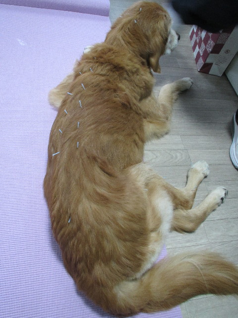 ファイル 2752-2.jpg