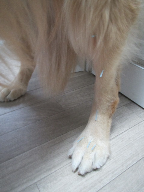 ファイル 2752-3.jpg