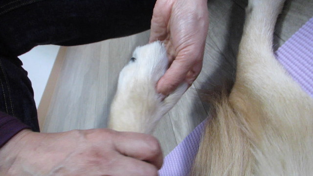 ファイル 2752-4.jpg