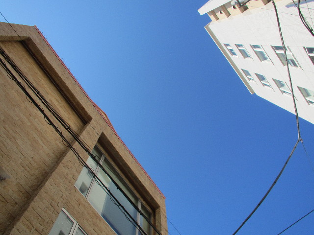 ファイル 2753-1.jpg