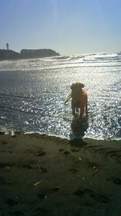 ファイル 2753-2.jpg