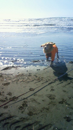 ファイル 2753-3.jpg