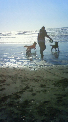 ファイル 2753-4.jpg