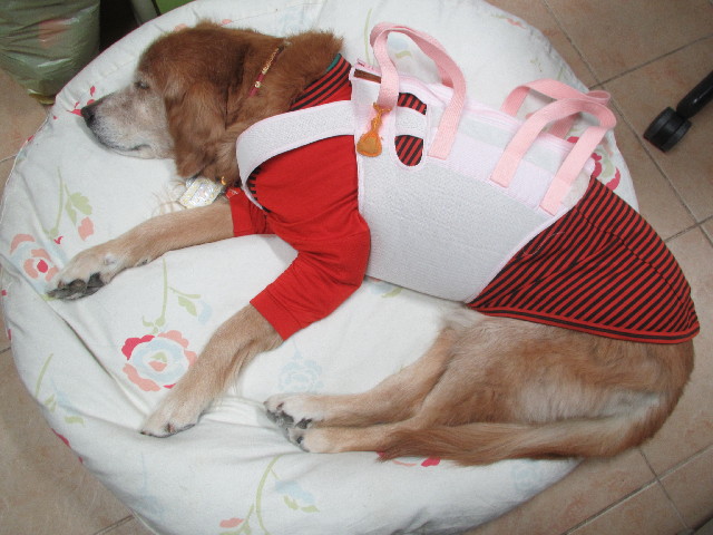 ファイル 2753-5.jpg