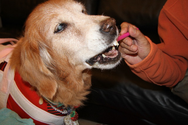 ファイル 2754-3.jpg