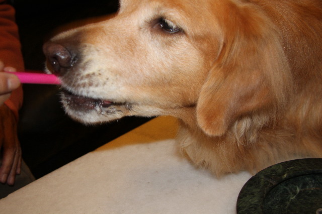 ファイル 2754-4.jpg