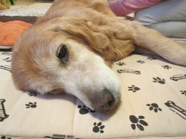 ファイル 2757-1.jpg