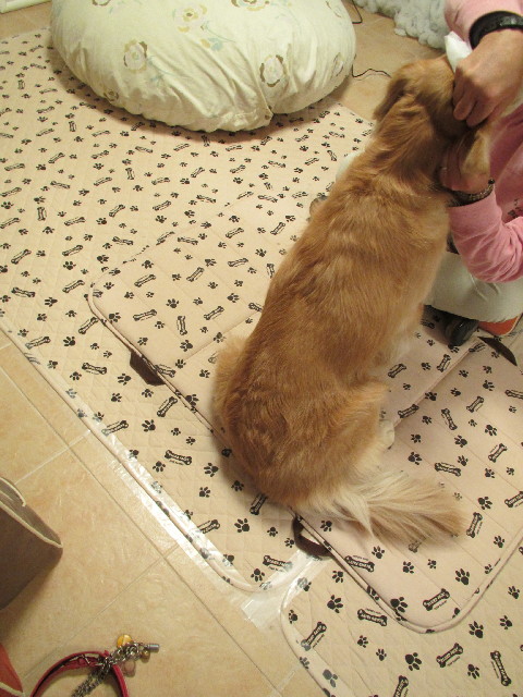 ファイル 2757-2.jpg