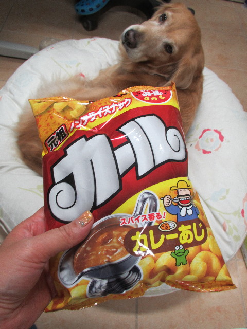 ファイル 2757-5.jpg