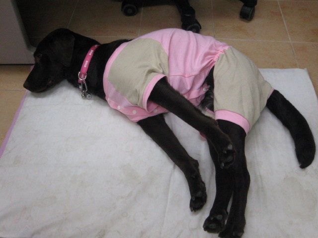 ファイル 276-5.jpg