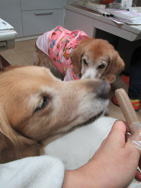 ファイル 2767-3.jpg