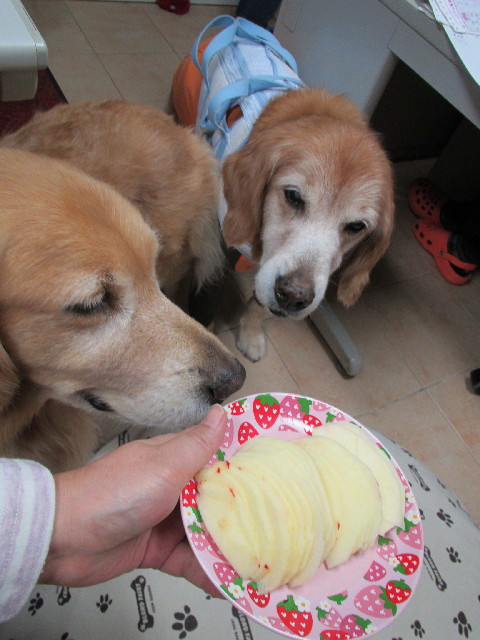 ファイル 2767-4.jpg