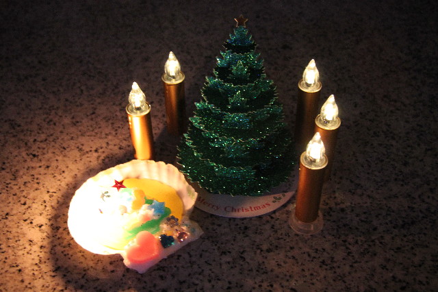 ファイル 2769-1.jpg