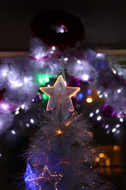 ファイル 2769-5.jpg